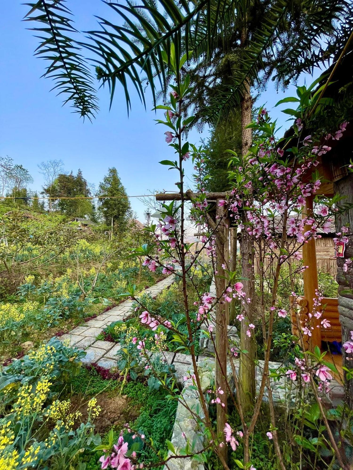 So H'Mong Homestay Bac Ha  Exteriér fotografie