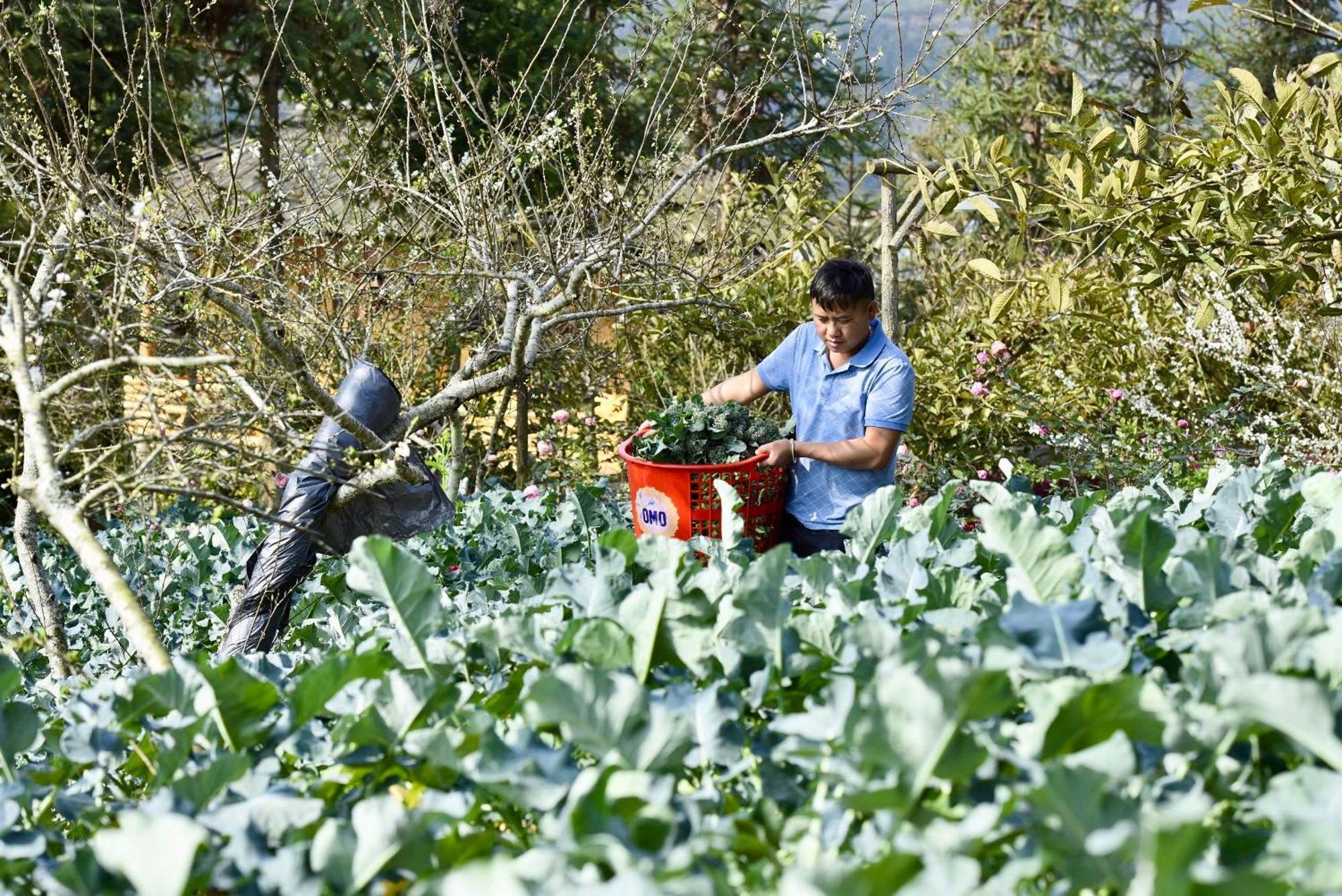 So H'Mong Homestay Bac Ha  Exteriér fotografie